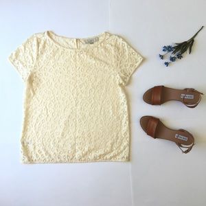 Ann Taylor Loft • lace open stitch | short sleeve